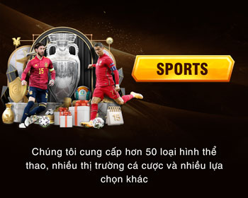 Cá cược thể thao WIN456 với các trận đấu bóng đá đỉnh cao