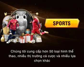 Cá cược thể thao WIN456 với các trận đấu bóng đá đỉnh cao